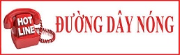 Đường dây nóng 0258.3.827.161 và 0258.3.822.157